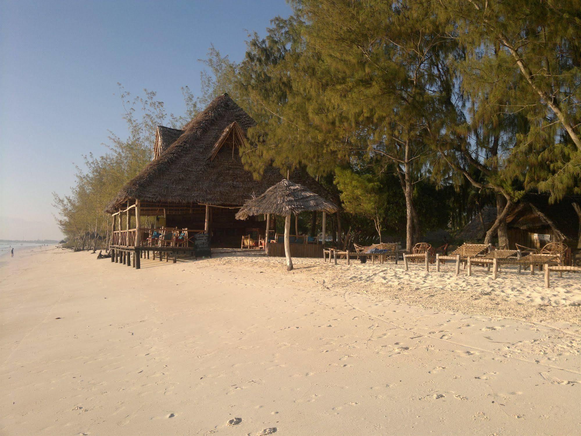 Ndame Beach Lodge Paje Exterior foto
